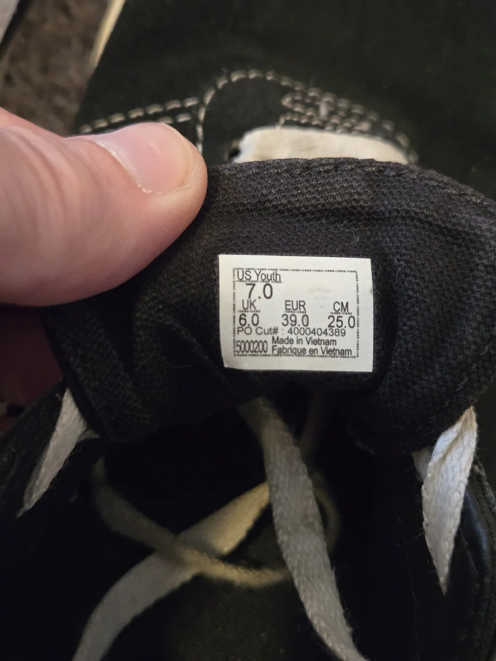 Vans iconic old